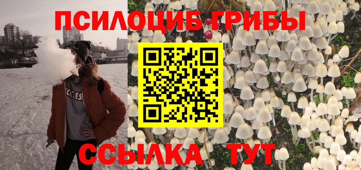 Выборг  цена   Вход с VPN  Галлюциногенные грибы Psilocybe  Псилоцибиновые грибы MAGIC MUSHROOMS 